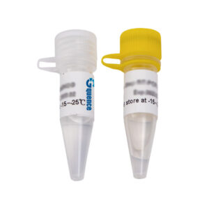 RT-PCR-Mix x-VITA (2X) One-step