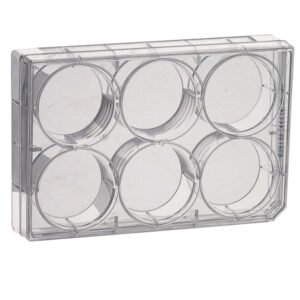 ZELLKULTURPLATTEN, STERIL