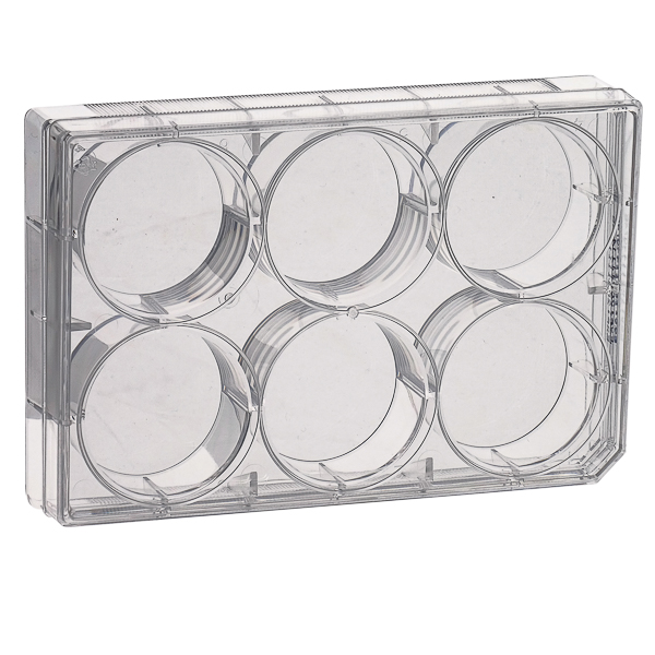 ZELLKULTURPLATTEN, STERIL