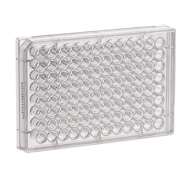 ZELLKULTURPLATTEN, STERIL – Bild 2