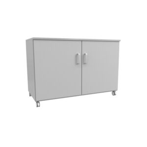 *LABORBEISTELLSCHRANK, MIT ROLLEN UND ZWEI TÜREN