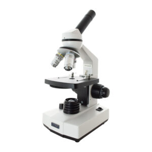 BIOLOGISCHES MIKROSKOP, VISION