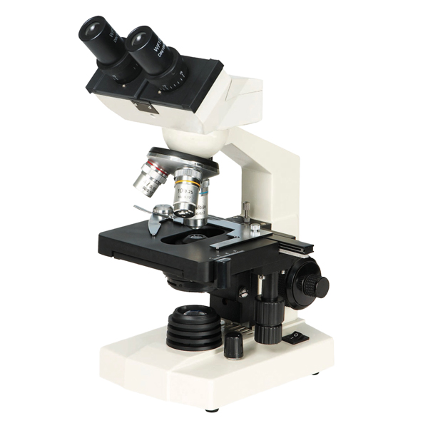 BIOLOGISCHES MIKROSKOP, VISION – Bild 4