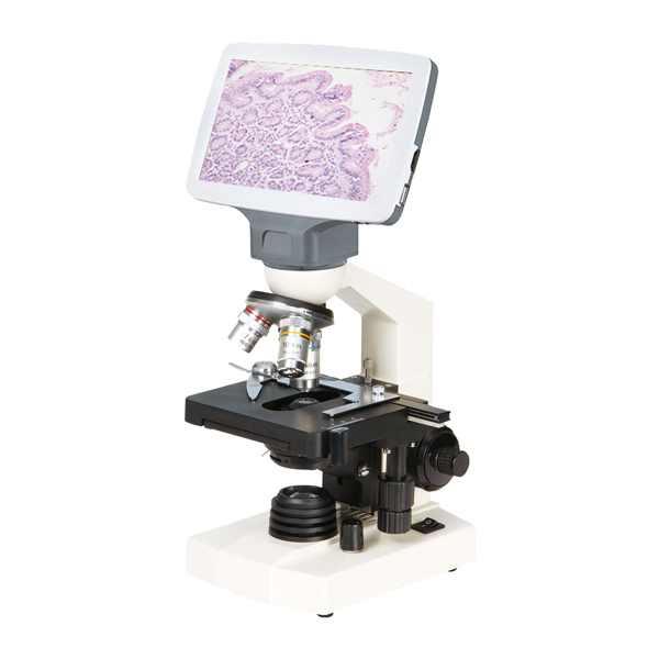 BIOLOGISCHES MIKROSKOP, VISION – Bild 5